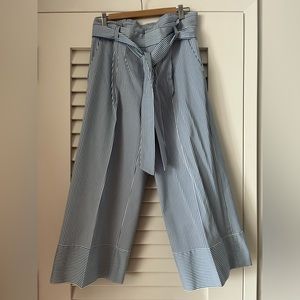 Banana Republic high waisted wide leg crop pant